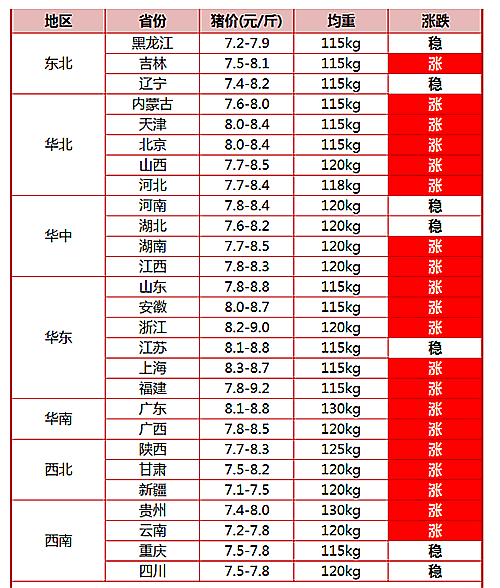 豬肉價格圖表.png